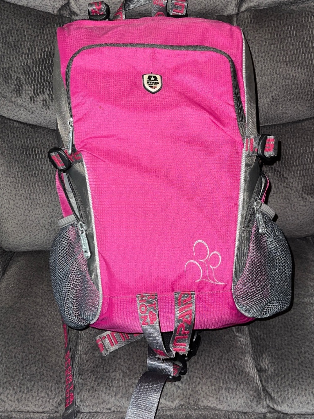 Pink Camera Backpack